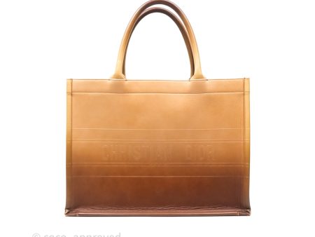 Christian Dior Medium Book Tote Gradient Brown Calfskin Sale